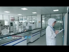 IDEA DE DANYANG KORE